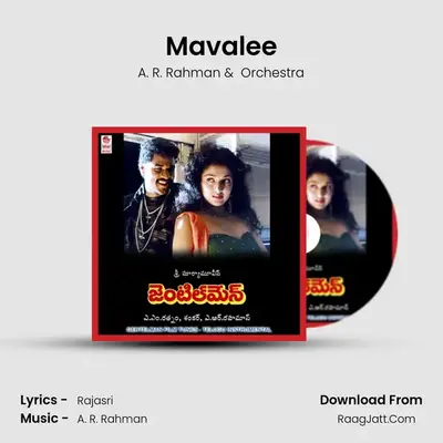 Mavalee MP3 Song by A. R. Rahman Cover