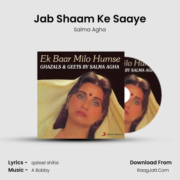 Jab Shaam Ke Saaye MP3 Song by Salma Agha Cover