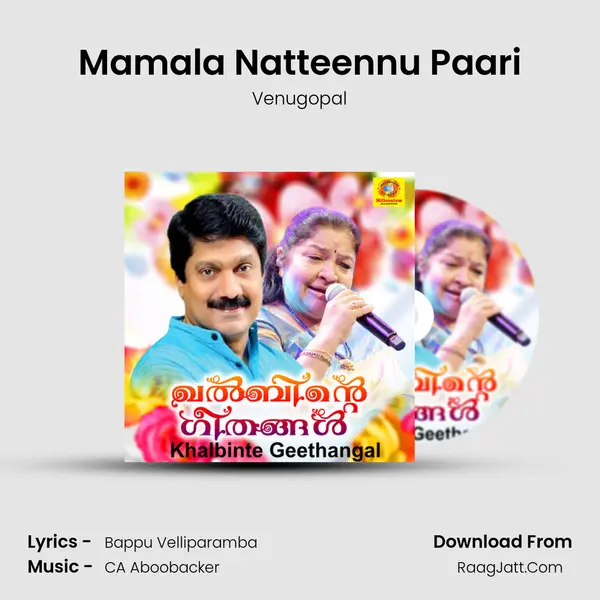 Mamala Natteennu Paari mp3 song