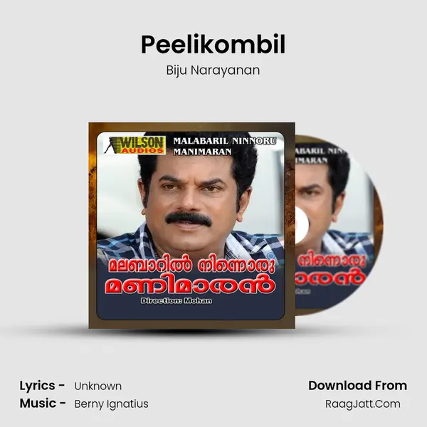 Peelikombil MP3 Song by Biju Narayanan Cover