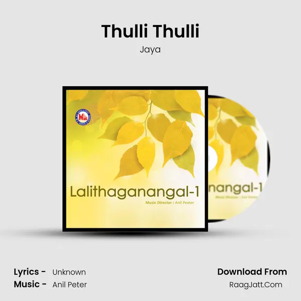 Thulli Thulli MP3 Song by Jaya Cover