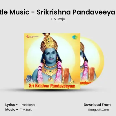 Title Music - Srikrishna Pandaveeyam MP3 Song by T. V. Raju Cover