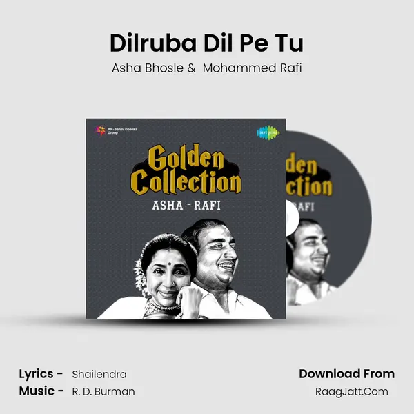 Dilruba Dil Pe Tu Cover
