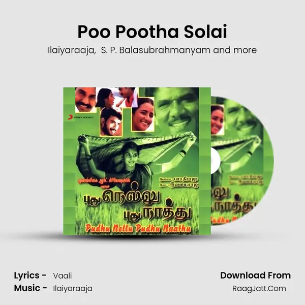 Poo Pootha Solai MP3 Song by Ilaiyaraaja Cover