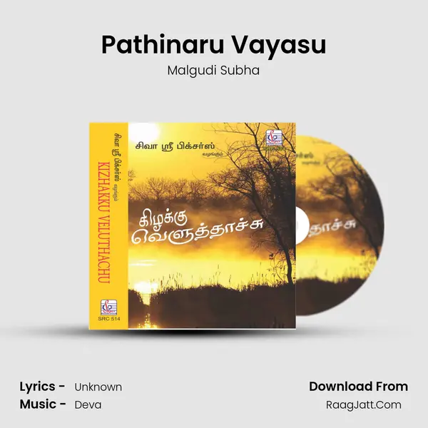 Pathinaru Vayasu MP3 Song by Malgudi Subha Cover