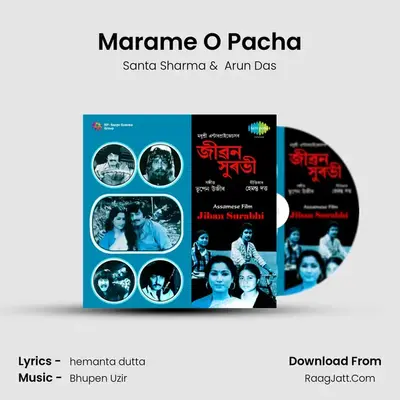 Marame O Pacha MP3 Song by Santa Sharma Cover