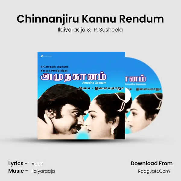 Chinnanjiru Kannu Rendum MP3 Song by Ilaiyaraaja Cover