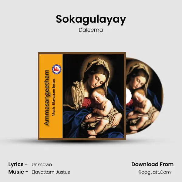 Sokagulayay MP3 Song by Daleema Cover