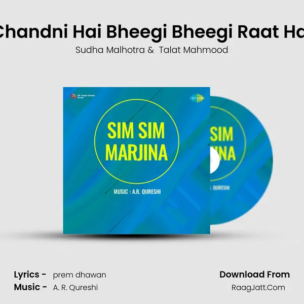 Chandni Hai Bheegi Bheegi Raat Hai mp3 song
