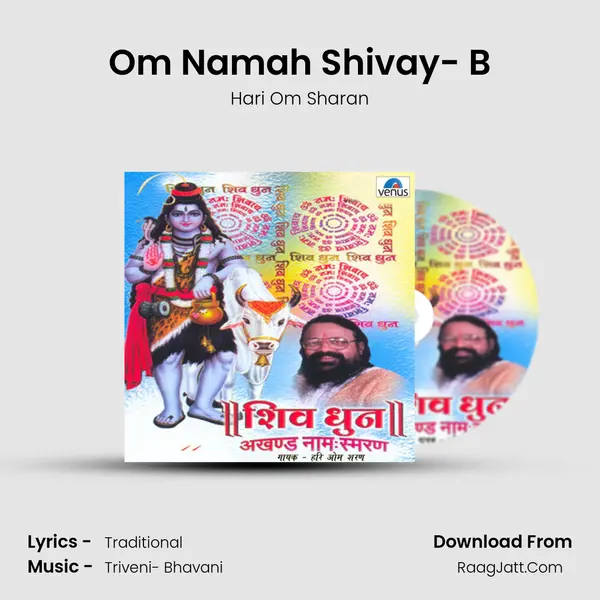 Om Namah Shivay- B MP3 Song by Hari Om Sharan Cover