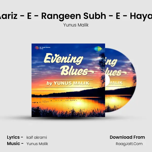 Aariz - E - Rangeen Subh - E - Hayat MP3 Song by Yunus Malik Cover