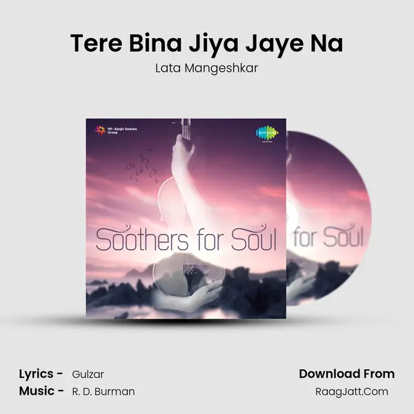 Tere Bina Jiya Jaye Na Cover