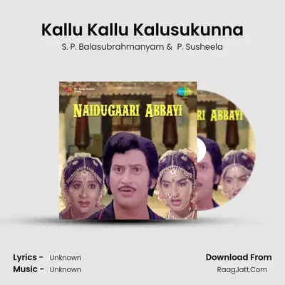 Naidugaari Abbayi - S. P. Balasubrahmanyam