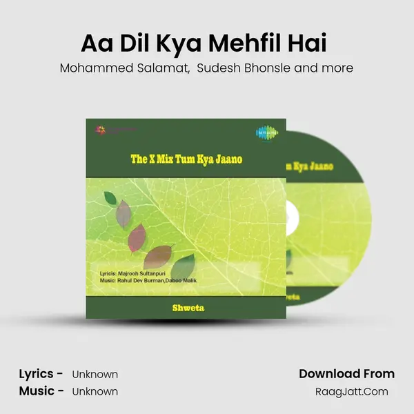 Aa Dil Kya Mehfil Hai (Remix)(Part 1) MP3 Song by Mohammed Salamat Cover