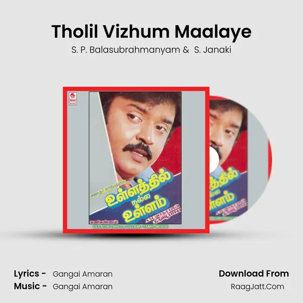 Tholil Vizhum Maalaye MP3 Song by S. P. Balasubrahmanyam Cover