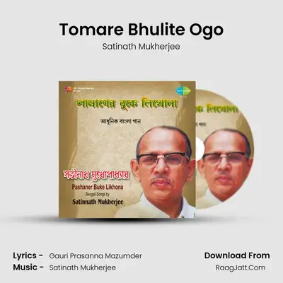 Satinath Pashaner Buke Likhona - Satinath Mukherjee