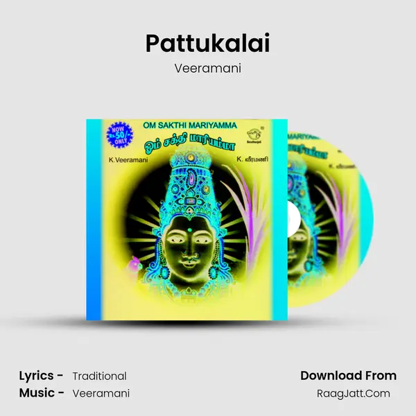 Pattukalai MP3 Song by Veeramani Cover