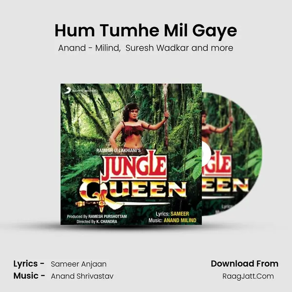 Hum Tumhe Mil Gaye MP3 Song by Anand - Milind Cover