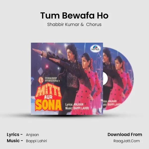 Tum Bewafa Ho MP3 Song by Shabbir Kumar Cover