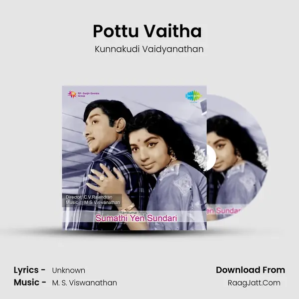 Pottu Vaitha (Instrumental) Cover