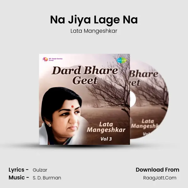 Na Jiya Lage Na Cover