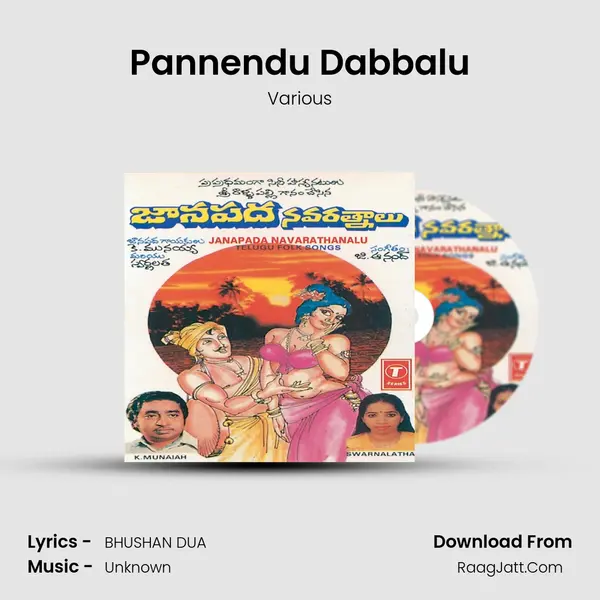 Pannendu Dabbalu MP3 Song by Various Cover