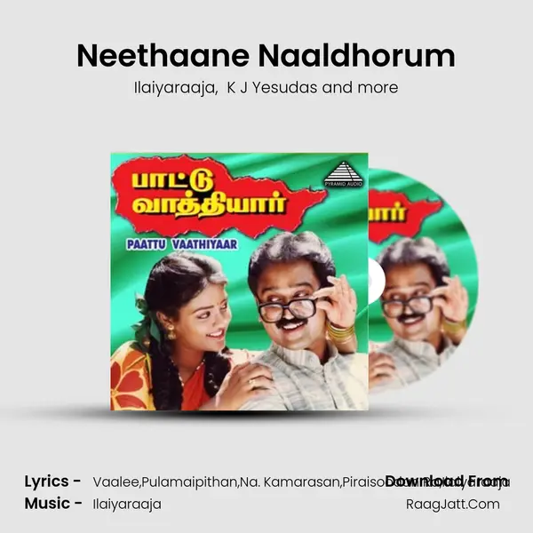 Neethaane Naaldhorum MP3 Song by Ilaiyaraaja Cover