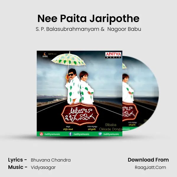 Nee Paita Jaripothe MP3 Song by S. P. Balasubrahmanyam Cover