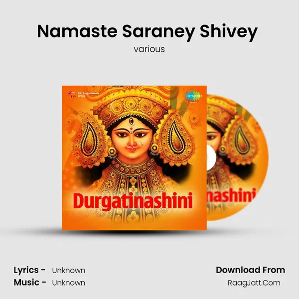 Namaste Saraney Shivey (Hymiis, Recitations And Devotional Songs) MP3 Song by various Cover