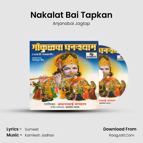 Nakalat Bai Tapkan MP3 Song by Anjanabai Jagtap Cover