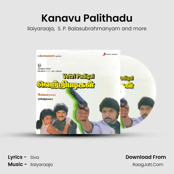 Kanavu Palithadu MP3 Song by Ilaiyaraaja Cover
