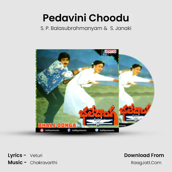 Pedavini Choodu MP3 Song by S. P. Balasubrahmanyam Cover