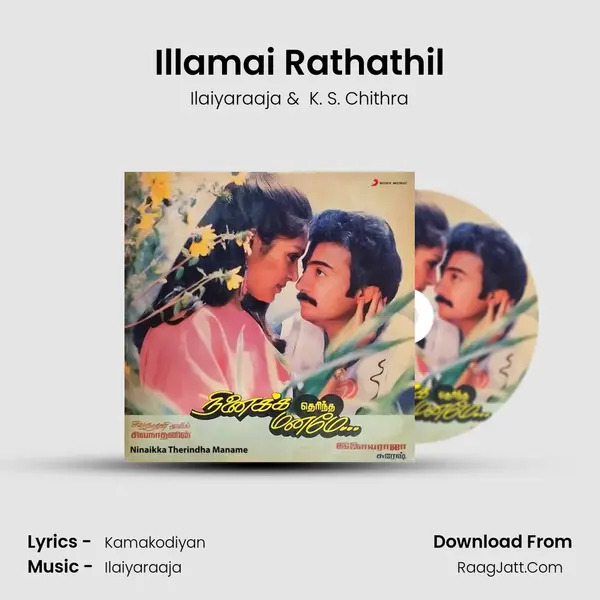 Illamai Rathathil MP3 Song by Ilaiyaraaja Cover