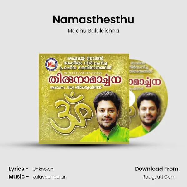 Namasthesthu MP3 Song by Madhu Balakrishna Cover