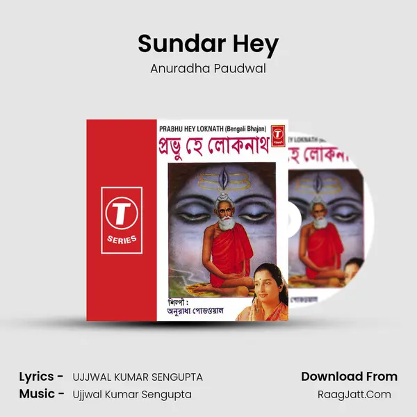 Sundar Hey MP3 Song by Anuradha Paudwal Cover