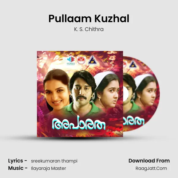 Pullaam Kuzhal MP3 Song by K. S. Chithra Cover