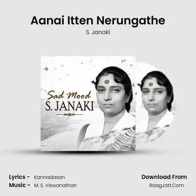 Aanai Itten Nerungathe Cover