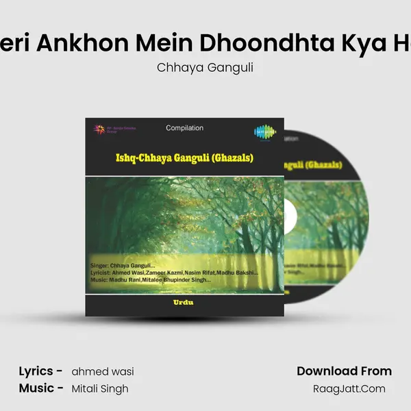 Meri Ankhon Mein Dhoondhta Kya Hai MP3 Song by Chhaya Ganguli Cover