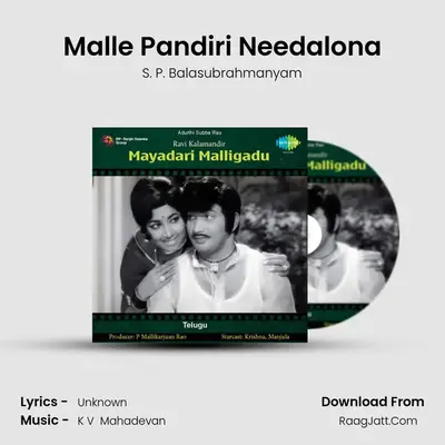 Malle Pandiri Needalona MP3 Song by S. P. Balasubrahmanyam Cover