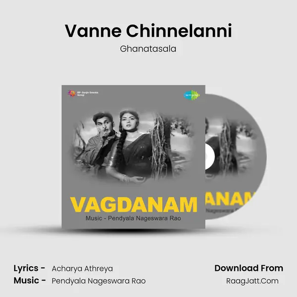 Vanne Chinnelanni Cover
