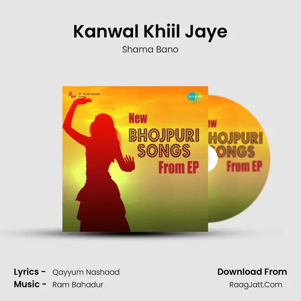 Kanwal Khiil Jaye Cover