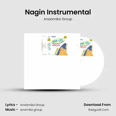 Nagin Instrumental MP3 Song by Anaamika Group Cover