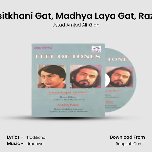 Feel Of Tones Vol Ii - Ustad Amjad Ali Khan