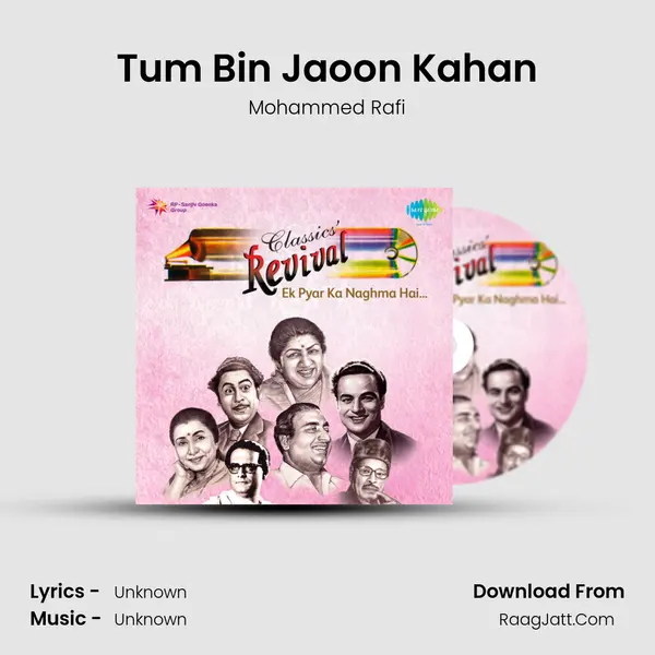 Tum Bin Jaoon Kahan Cover