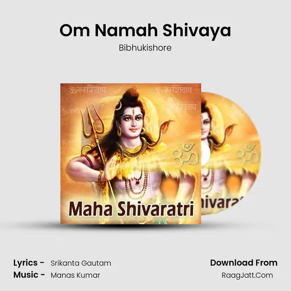 Om Namah Shivaya MP3 Song by Bibhukishore Cover