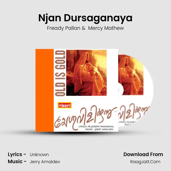 Njan Dursaganaya MP3 Song by Fready Pallan Cover