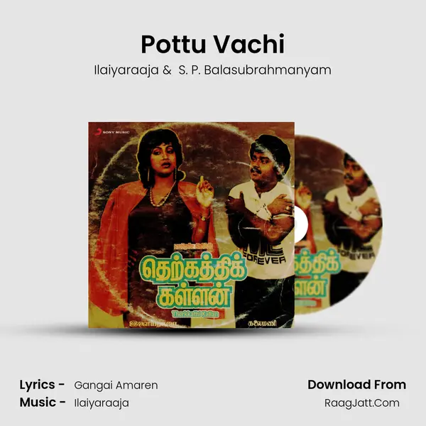 Pottu Vachi MP3 Song by Ilaiyaraaja Cover