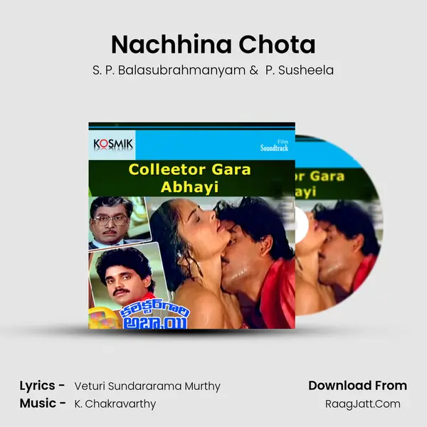 Nachhina Chota MP3 Song by S. P. Balasubrahmanyam Cover