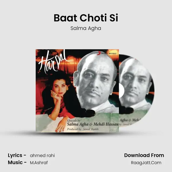 Baat Choti Si MP3 Song by Salma Agha Cover