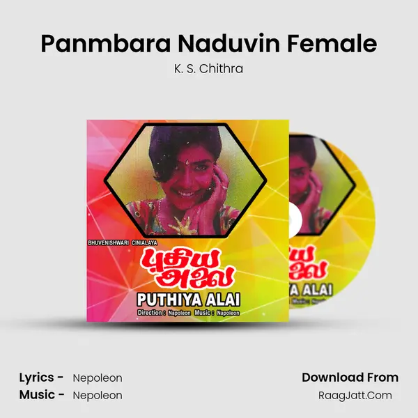 Panmbara Naduvin Female MP3 Song by K. S. Chithra Cover